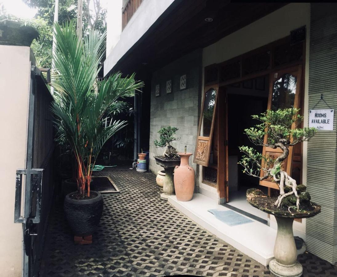 Hotel The Point Surfcamp Bali Pulukan Zewnętrze zdjęcie